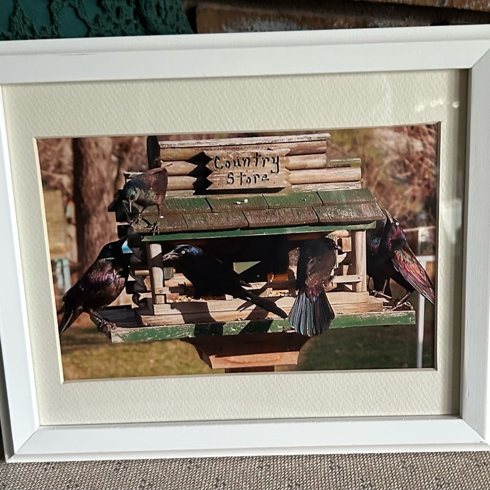 Handcrafted Framed and Matted Birdhouse Photo